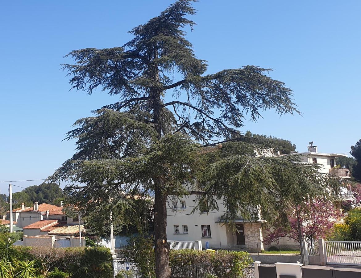 Apartamento Les Vagues Bleues La Ciotat Exterior foto
