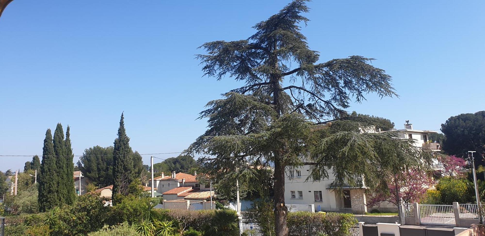 Apartamento Les Vagues Bleues La Ciotat Exterior foto